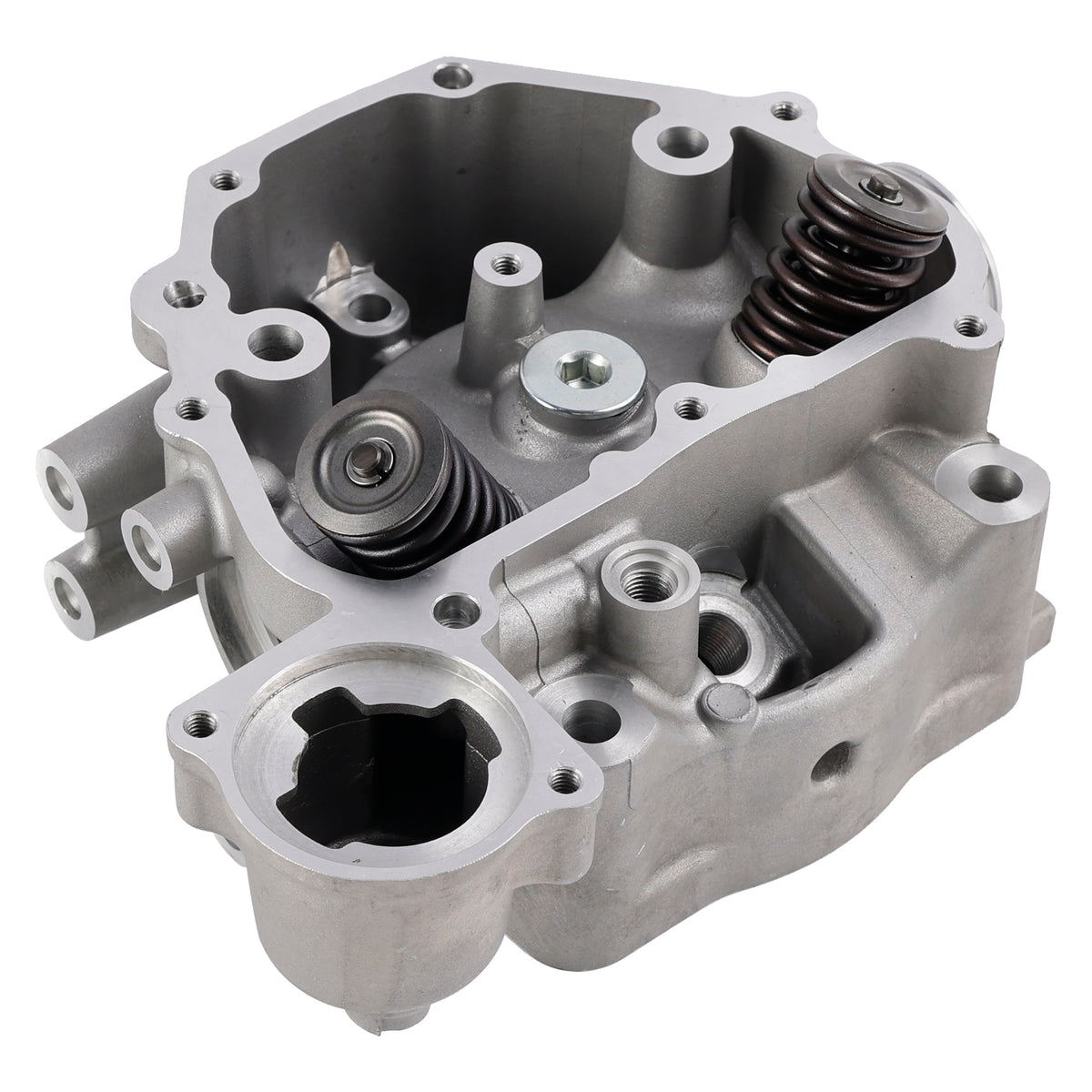 Honda Rancher 420 TRX420 FE FM TM TE FPA 2009-2024 Cylinder Head Valves Kit