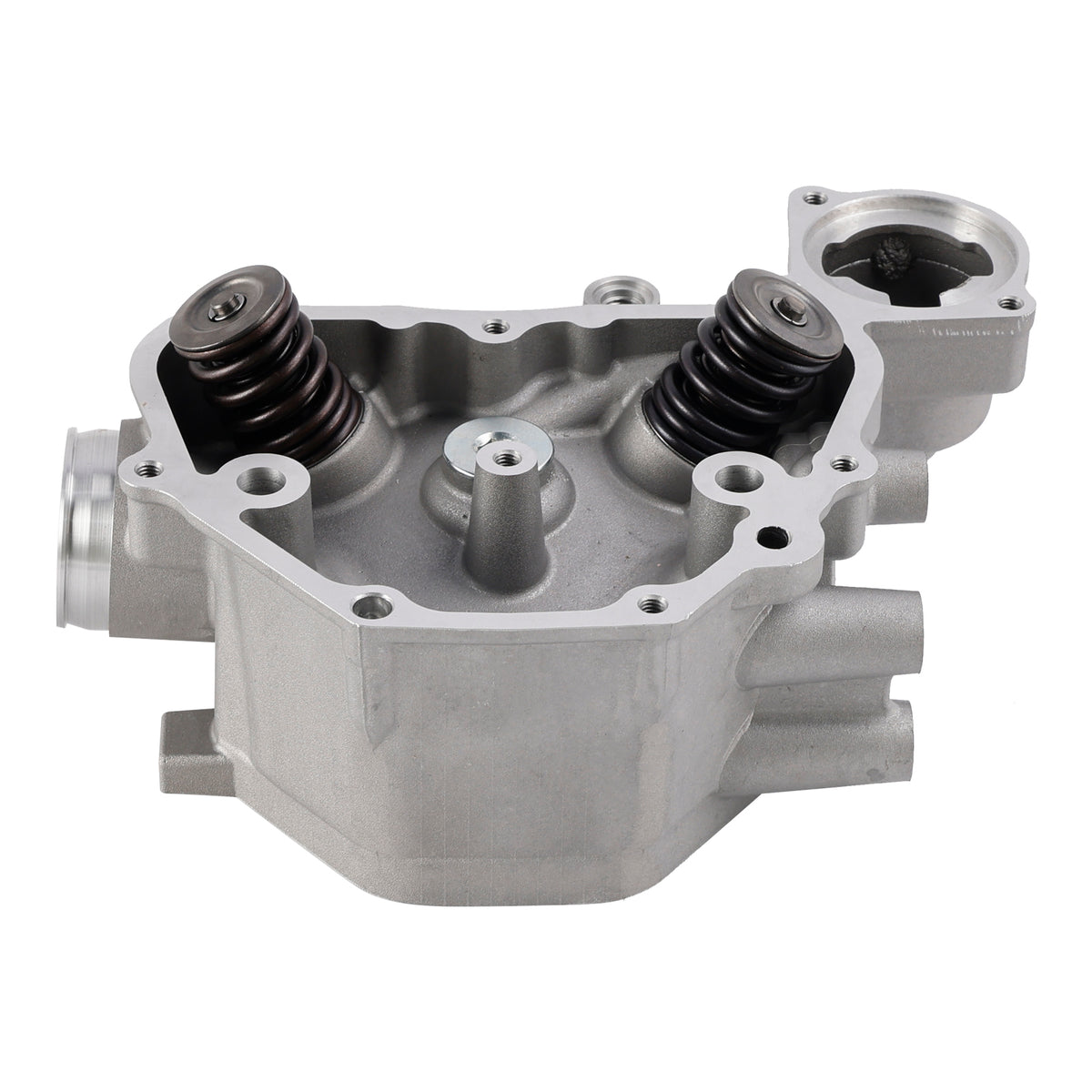 Honda Rancher 420 TRX420 FE FM TM TE FPA 2009-2024 Cylinder Head Valves Kit
