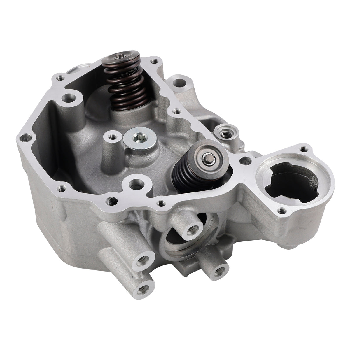 Honda Rancher 420 TRX420 FE FM TM TE FPA 2009-2024 Cylinder Head Valves Kit