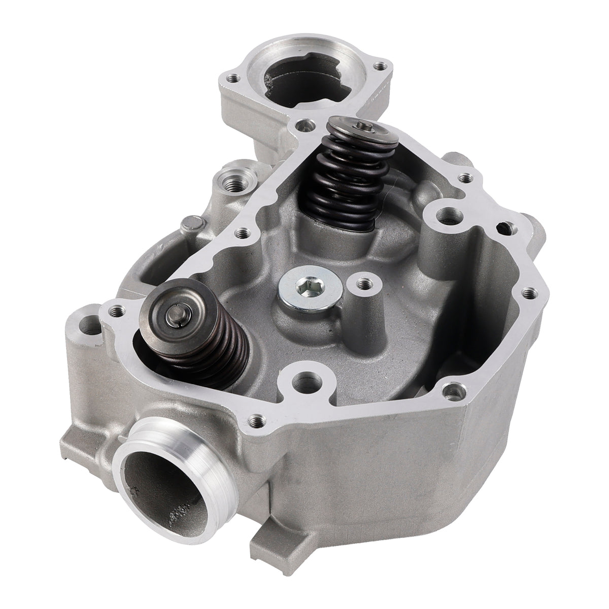 Honda Rancher 420 TRX420 FE FM TM TE FPA 2009-2024 Cylinder Head Valves Kit