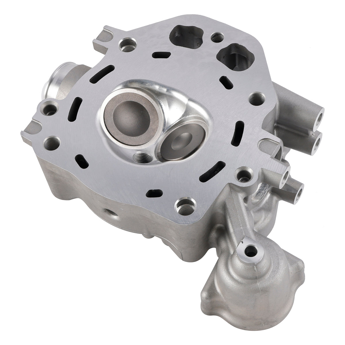 Honda Rancher 420 TRX420 FE FM TM TE FPA 2009-2024 Cylinder Head Valves Kit