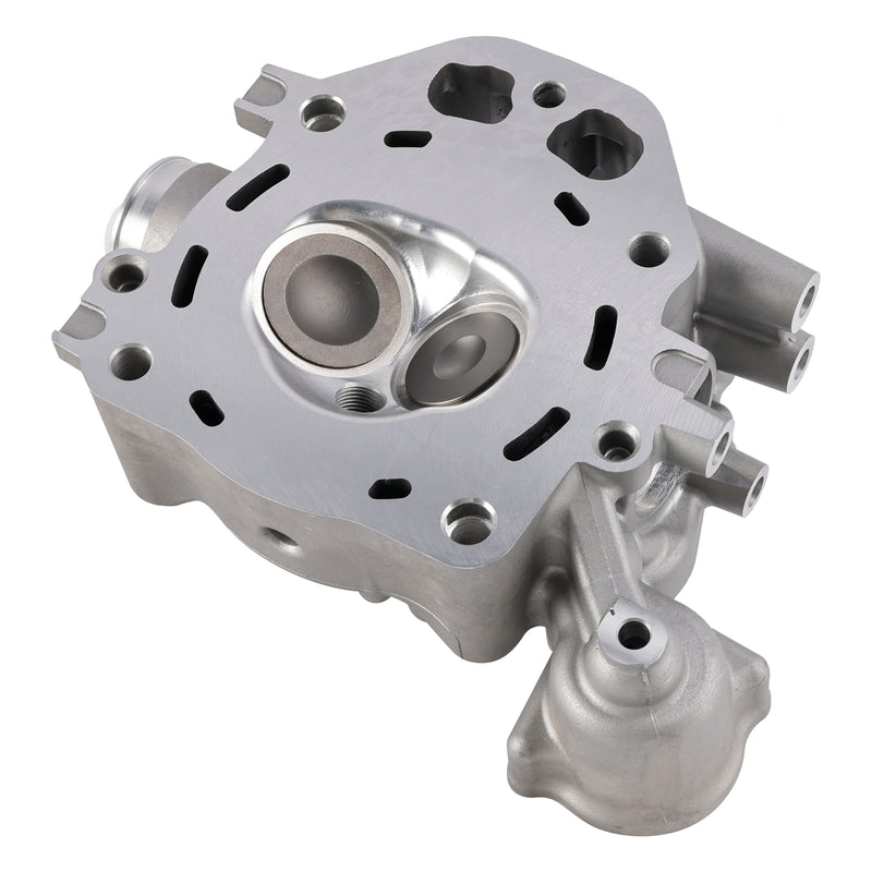 Honda Rancher 420 TRX420 FE FM TM TE FPA 2009-2024 Cylinder Head Valves Kit