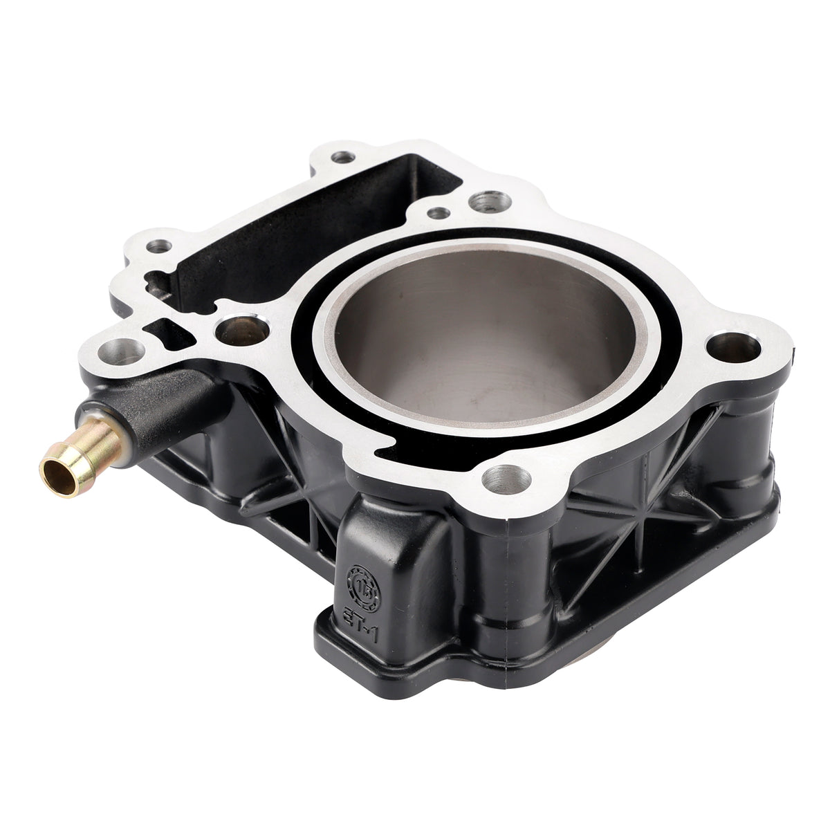 Bajaj Pulsar NS200 RS200 AS200 2012-2023 77mm Cylinder Piston Gasket 250cc Kit