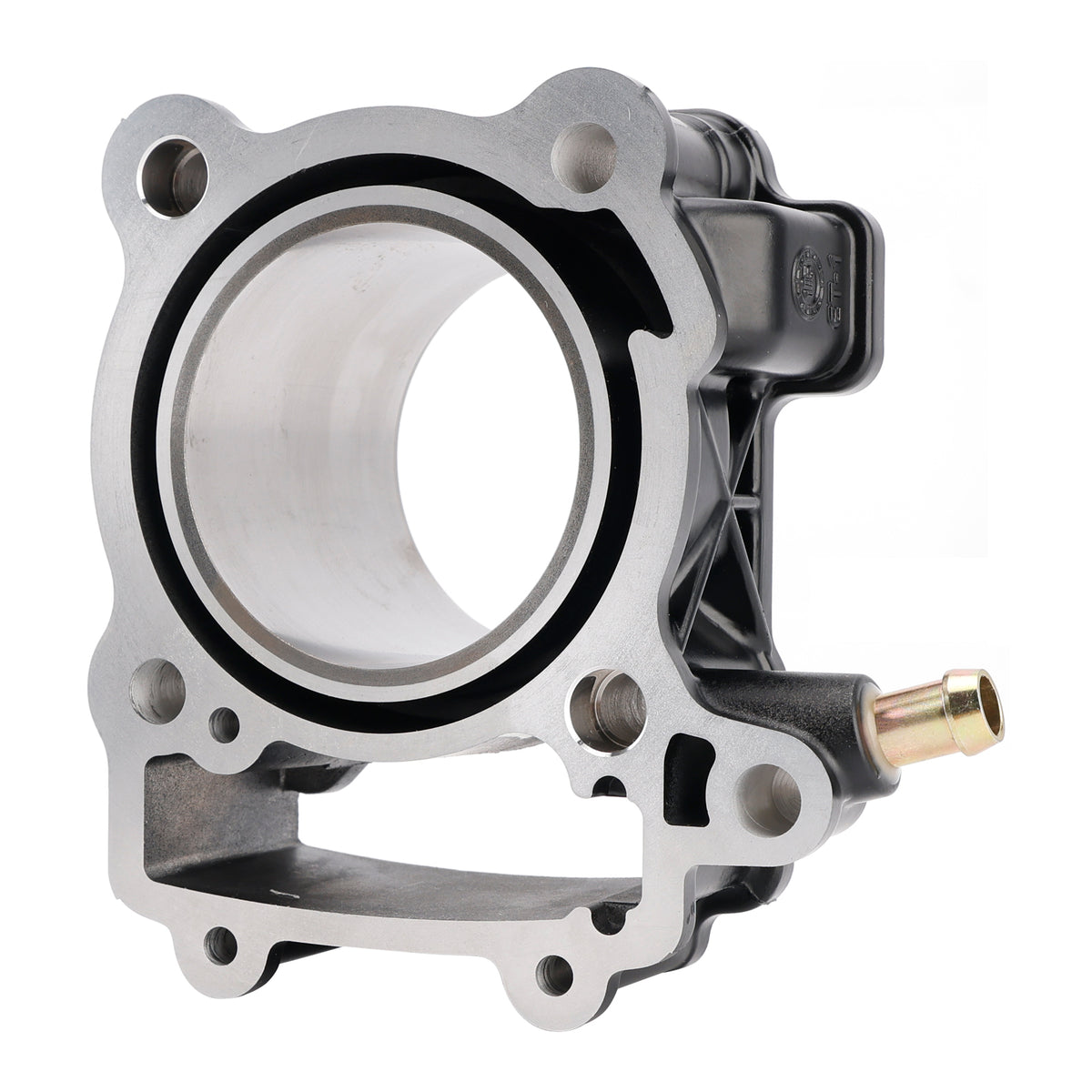Bajaj Pulsar NS200 RS200 AS200 2012-2023 77mm Cylinder Piston Gasket 250cc Kit
