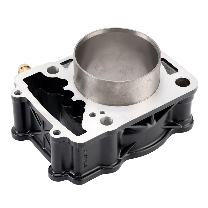 Bajaj Pulsar NS200 RS200 AS200 2012-2023 77mm Cylinder Piston Gasket 250cc Kit
