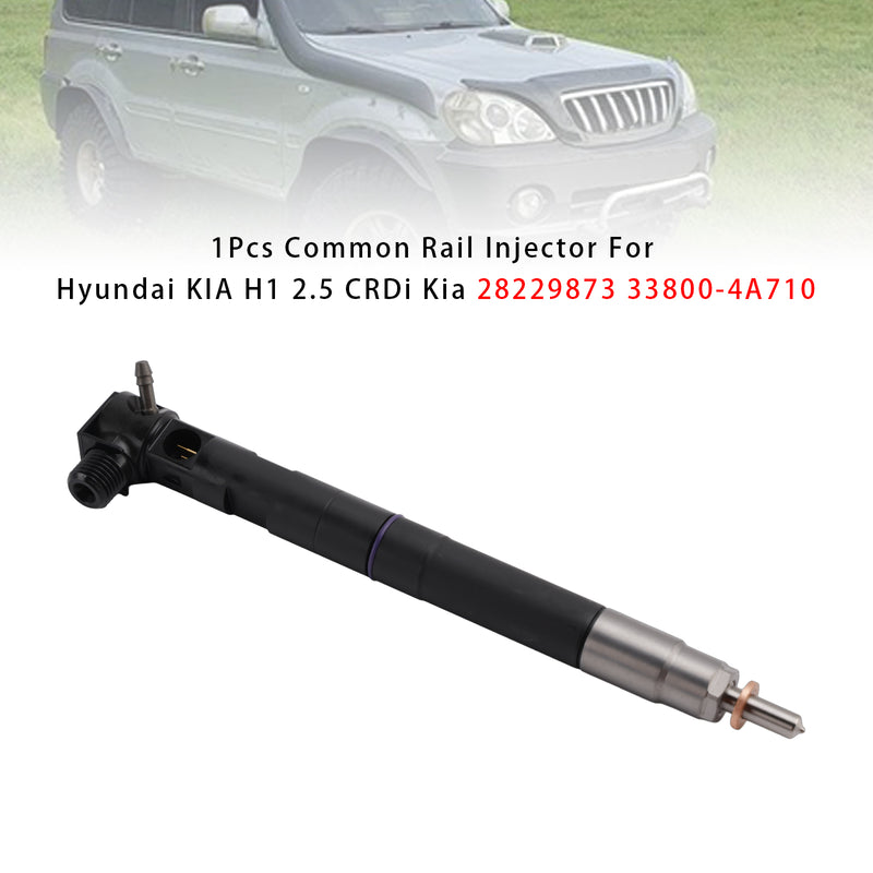 Hyundai KIA H1 2.5 CRDi Kia 28229873 33800-4A710 1PCS Common Rail Injector