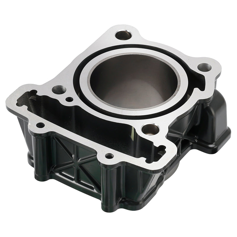 Duk 200 RC200 2013-2023 Cylinder Block Piston Top End Rebuild Kit