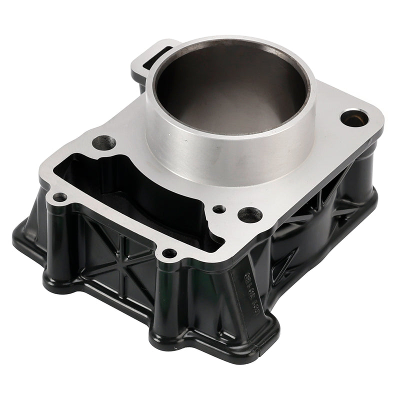 Duk 200 RC200 2013-2023 Cylinder Block Piston Top End Rebuild Kit