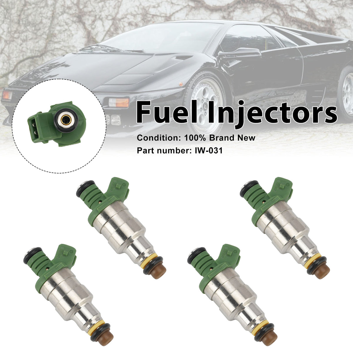 Ducati Lamborghini Murcielago 4PC IW031 Fuel Injectors IW-031