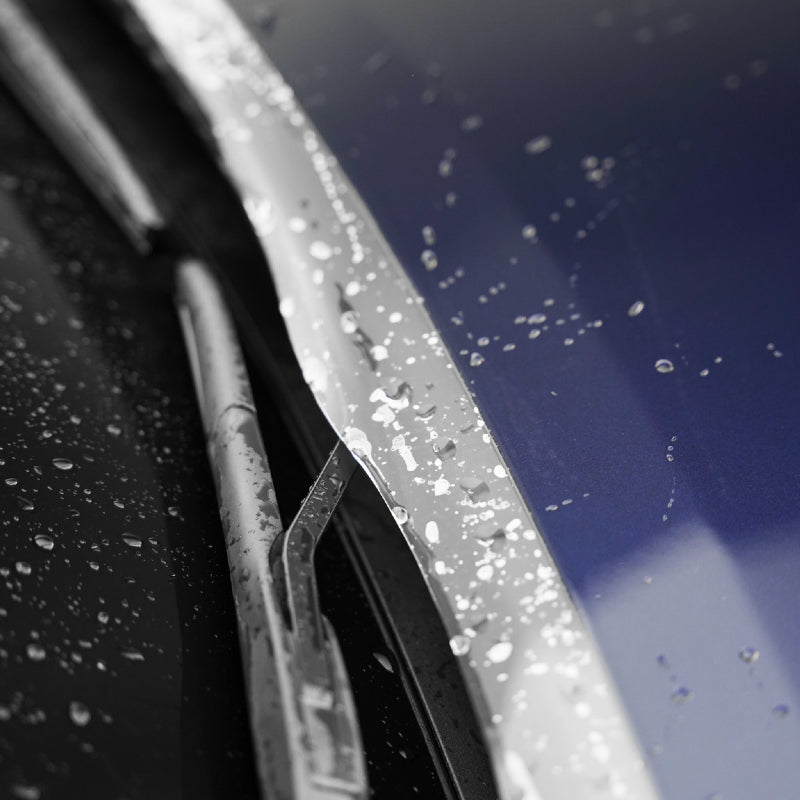 10 Mil Max Clear Paint Protection Film Self Healing PPF