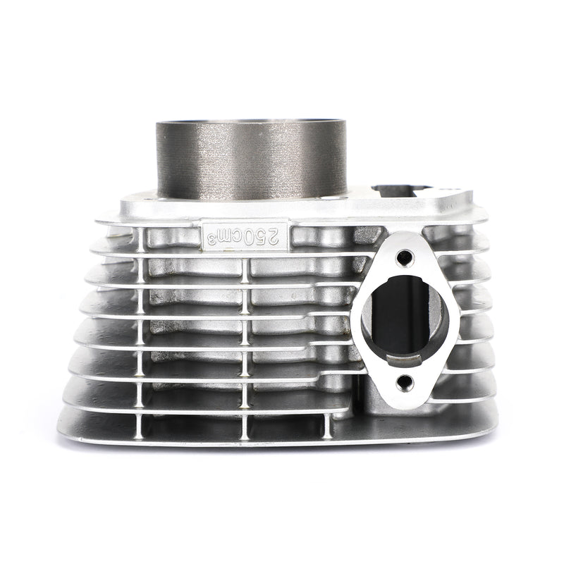 Honda CRF230F 2003-2019 CRF230L 2008-2009 12100-KFB-000 65.5mm Cylinder Piston Kit
