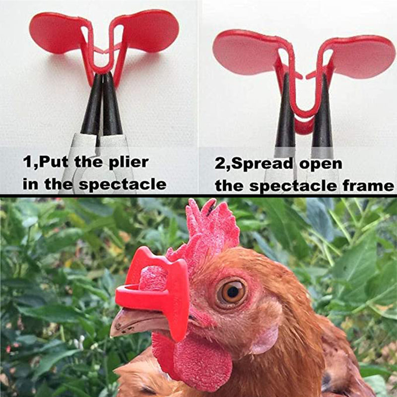24Pcs Peepers+Pliers Chicken Glasses Poultry Blinders Spectacles Anti-Pecking