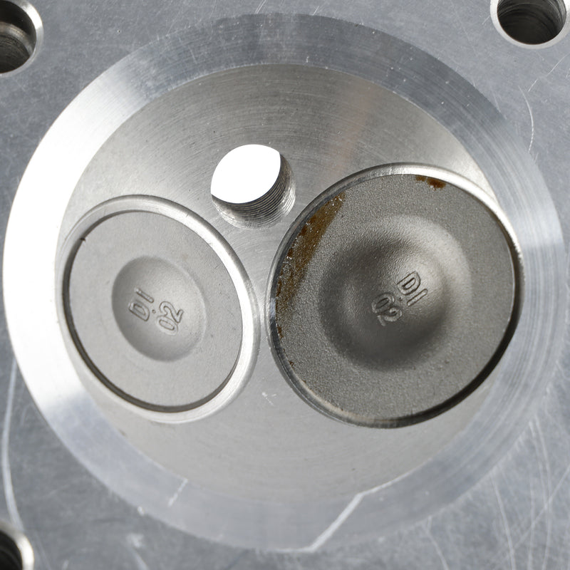 Honda 2003-2014 TRX250EX TRX250X 2002-2014 TRX250 Recon 250 TE TM Cylinder Head